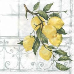 IHR Lemon tree white